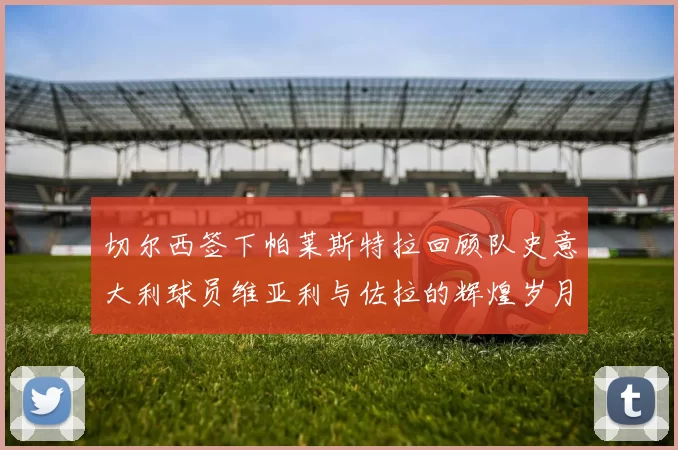 切尔西签下帕莱斯特拉回顾队史意大利球员维亚利与佐拉的辉煌岁月
